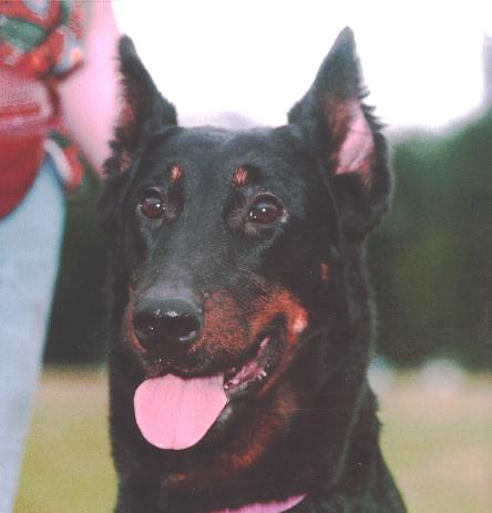 Polka de la noisetterie