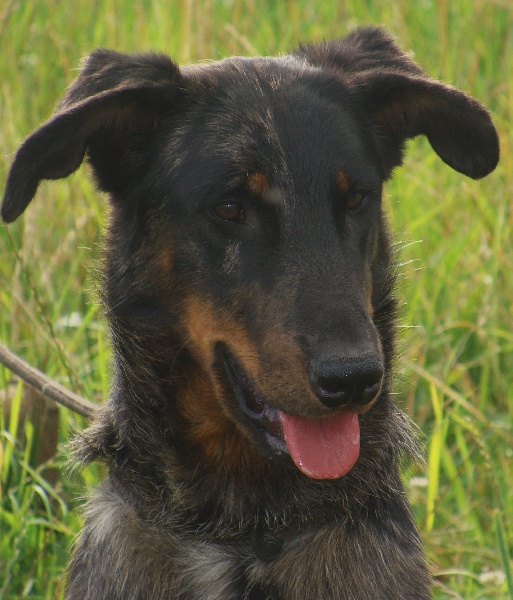 Doowap de la noisetterie