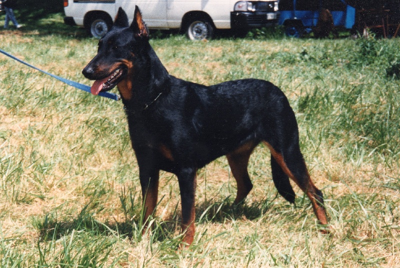 Hanoï De la noé du jardin